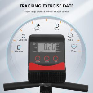 Recumbent Exercise Bike for Home Magnetic Stationary Bike for Adult Seniors, Workout Equipment for Gym, LCD, Heart Rate Handle,Indoor