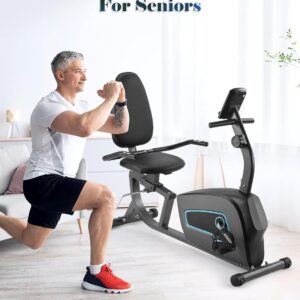 Exercise Bike Recumbent Exercise Bike for Home Stationary Bike Sturdy Quiet 8 Levels Large Comfortable Seat Heart Rate Handle & Device Holder 300 LB Weight Capacity