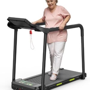 Walking Treadmill with Long Handrail for Balance, Recovery Fitness Exercise Machine Foldable for Home use with Holder for Phone & Cup,LCD Display, 300 lbs Capacity
