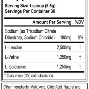 Evlution EVL BCAAs Amino Acids Powder – BCAA Powder Post Workout Recovery Drink and Stim Free Pre Workout Energy – 5g Branched Chain Amino Acids Supplement for Men – Blue Raz