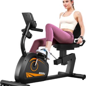 Recumbent Exercise Bike, Stationary Bikes for Home Magnetic Recumbent Bike with Adjust Seat for Adults Seniors, 300LB Capacity & 8-level Resistance, LCD Monitor and Heart Rate Handle