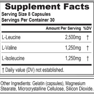 BCAAs Amino Acids Supplement for Men – EVL 2:1:1 5g BCAA Capsules for Post Workout Recovery and Lean Muscle Builder for Men – BCAA5000 Branched Chain Amino Acids Nutritional Supplement – 30 Servings