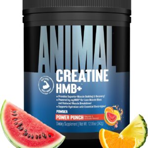Animal Creatine HMB Powder – 5g Creatine + 3g myHMB with Electrolytes for Recovery & Daily Energy – Power Punch Flavor, 30 Servings