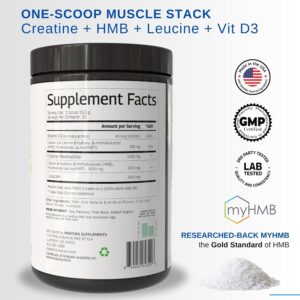 HMB Creatine Leucine Powder – 5g Creatine Monohydrate, 3g HMB Supplement, 3g L-Leucine – Vitamin D3, Vegan Lemonade Flavor, Muscle & Strength Support – 30 Servings