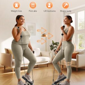 Niceday Steppers for Exercise, Mini Stair Stepper with Resistance Bands at Home Workout Equipment with 300LBS Loading Capacity, Hydraulic Fitness Stepper with LCD Monitor