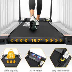 Treadmill 300 lb Capacity,Max 2.5 HP Folding Treadmills for Running and Walking Jogging Exercise with 12 Preset Programs, Easy Assembly for Home Use