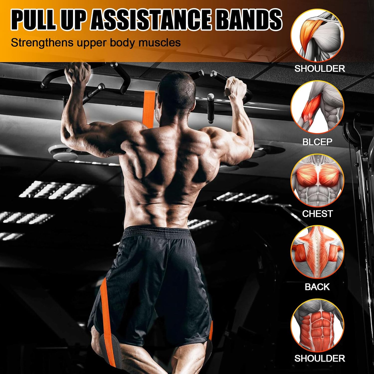 Pull Up Assistance Bands Set of 11 (375lbs)–Extra Heavy Duty Band, Dual Foot Rest, Door Anchor, Handles–Adjustable Resistance Bands for Pull Up Bar, Strength Training, Home Gym Workout - Image 5