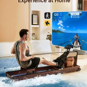 Magnetic/Water Row Machine for Home Rower 331LB Weight Capacity, Folding Rowing Machine with LED Monitor, App Supported, Tablet Holder, Comfortable Seat, Trifold Home Rowing Machine