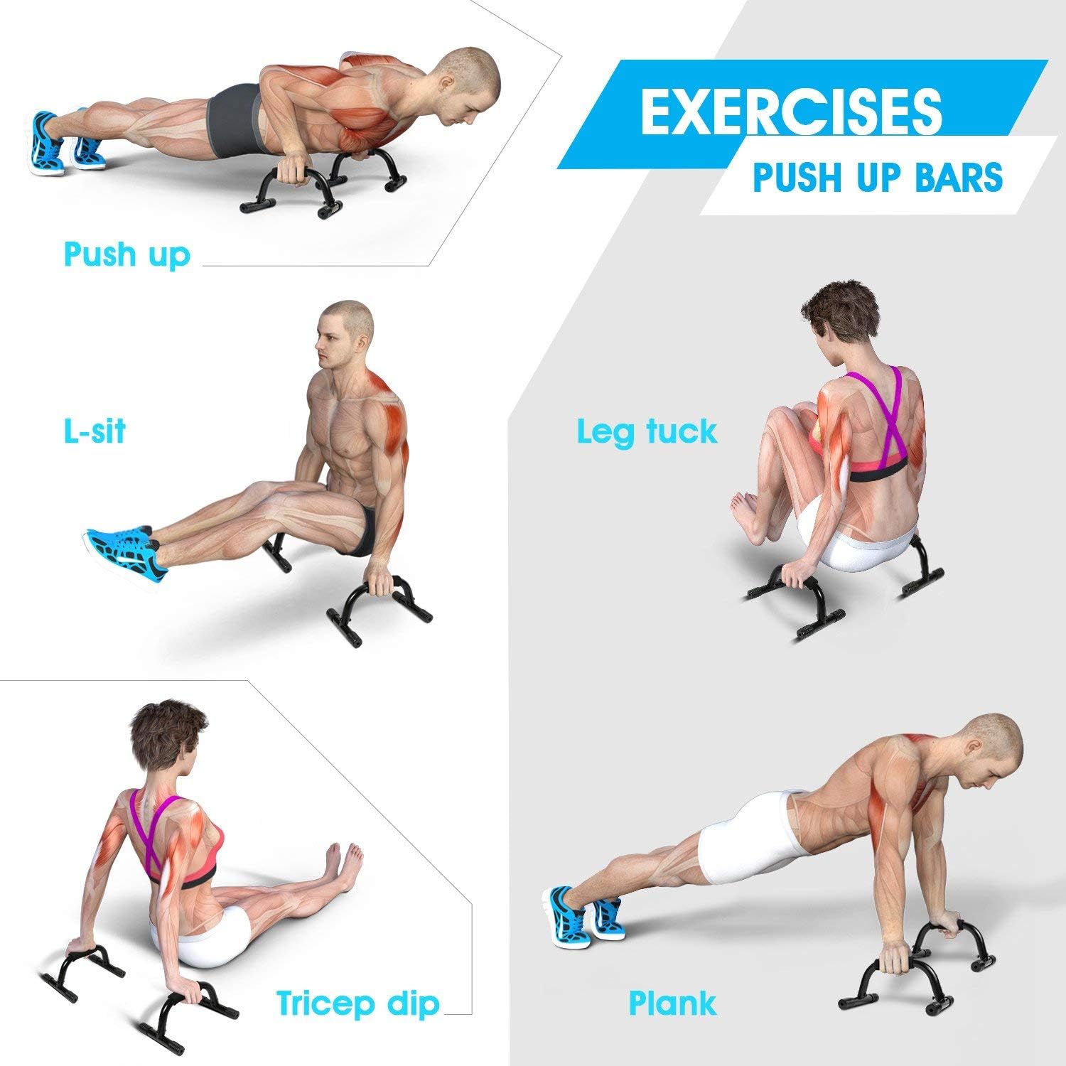 Push Up Bar Strength Training - Home Gym Exercise Equipment Push-up Stands with Cushioned Foam Grip Handles Non-Slip Sturdy Structure - Floor Workouts Fitness Calisthenics for Men Women - Image 5