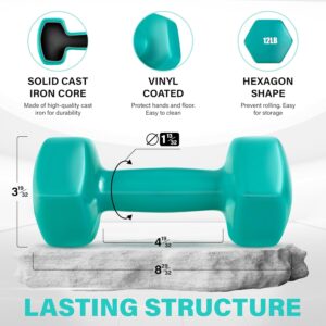 Yes4All Vinyl Hexagon Dumbbell – Dumbbells Set of 2 Hand Weights for Home Gym & Strength Training (2-15 lbs Weight Options)