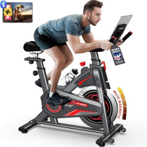 HARISON Semi-Commercial Exercise Bike 400 lbs Capacity, Magnetic Stationary Bikes for Home Gym with Bluetooth & Tablet Holder & Comfortable Seat Cushion