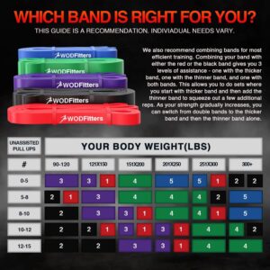 WODFitters Pull Up Assistance Band for Stretching, Mobility Workouts, Warm Up, Recovery, Powerlifting, Home Fitness and Exercise…