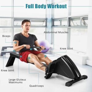 Goplus Magnetic Rowing Machine Foldable Exercise Rower with 10-Level Tension Resistance System, LCD Monitor, Transport Wheels, Full Body Exercise for Home