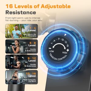 OWLSKY Elliptical Exercise Machine, Elliptical Machine for Home with Hyper-Quiet Magnetic Driving System, 16 Resistance Levels,400LBS