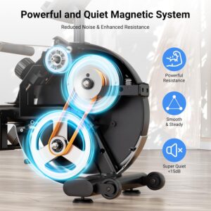 Dripex Rowing Machines for Home Use, Rowing Machine Magnetic Rower, Max 350 LBS, 16 Levels of Workout Resistance, Dual Slide Rail, Bluetooth App Compatible, LCD Monitor, Row Machine for Gym Exercise