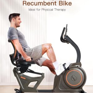 Niceday Recumbent Exercise Bike, Indoor Recumbent Exercise Bike for Home with 400LBS Capacity, High-end Stationary Bike with Smart Bluetooth