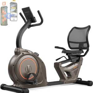 Niceday Recumbent Exercise Bike, Indoor Recumbent Exercise Bike for Home with 400LBS Capacity, High-end Stationary Bike with Smart Bluetooth