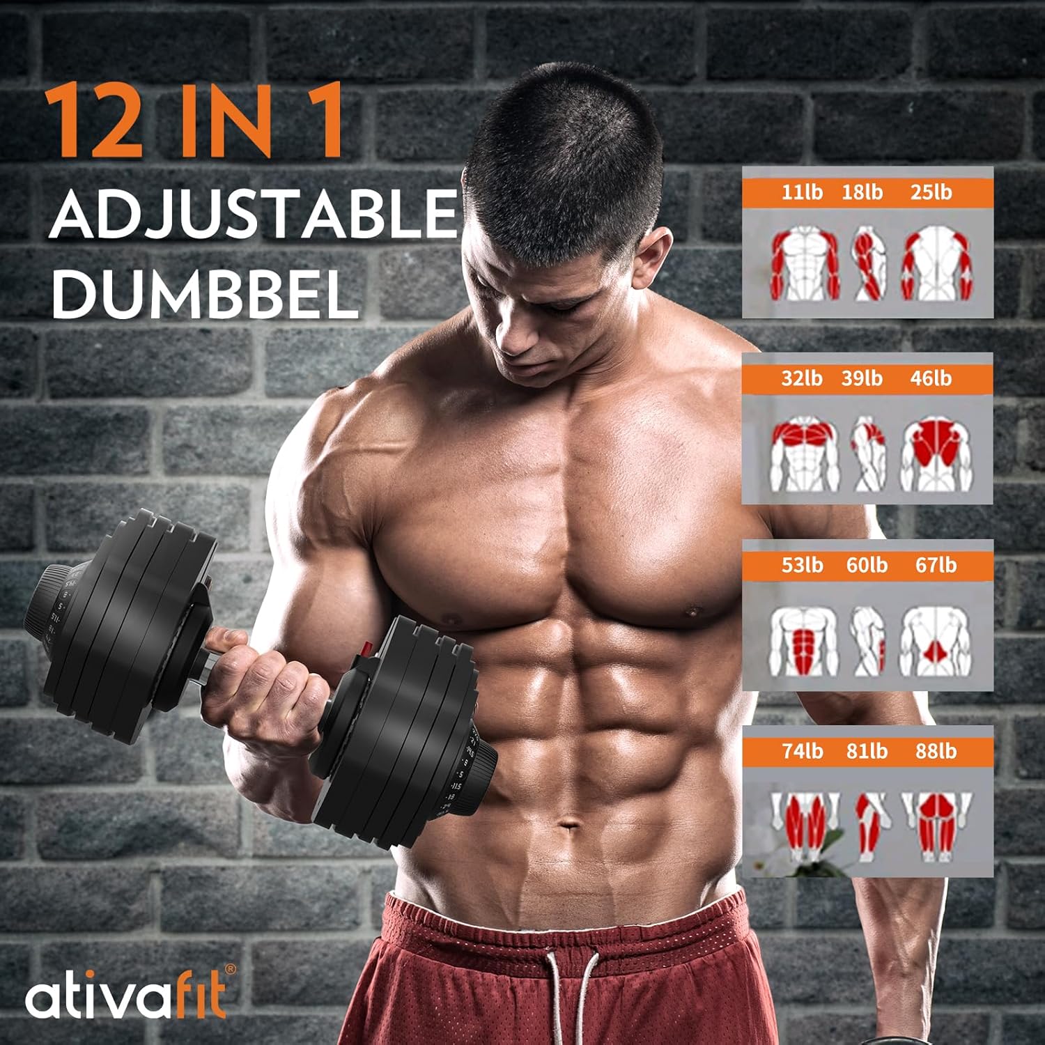 Ativafit 27.5/66/88LBS Pair Adjustable Dumbbell Set with Anti-slip Handle 12 In 1 Quick Dial Adjustment Weights With Safety Locking Button Space Saving Strength Training for Full Body Home Gym Workout - Image 4
