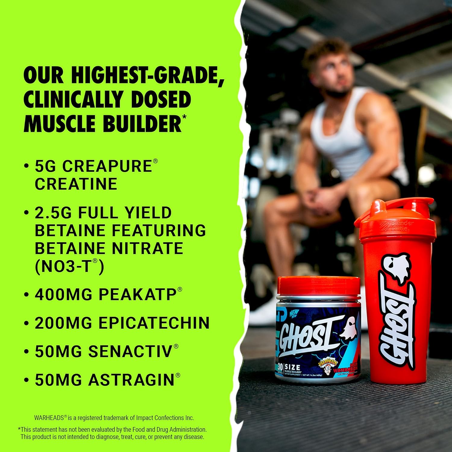 GHOST Size V3 Muscle Builder Dietary Supplement - Warheads Sour Watermelon, 30 Servings – Support Muscle Growth & Strength Building for Men & Women - Creatine & Betaine - Free of Sugar & Gluten - Image 3