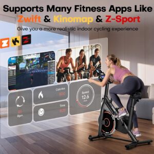 Exercise Bike, Adjustable Magnetic Resistance Stationary Bikes for Home with App Compatible, Quiet Indoor Cycling Bike with 350lbs Weight Capacity Comfortable Seat, Digital Monitor & Phone Mount