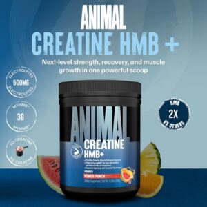 Animal Creatine HMB Powder – 5g Creatine + 3g myHMB with Electrolytes for Recovery & Daily Energy – Power Punch Flavor, 30 Servings