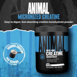 Animal Creatine Monohydrate Powder – Micronized Creatine for Women and Men, Supports Muscle Growth, Strength, Endurance, Recovery and ATP Production, Gym & Workout Supplements – Unflavored, 300g