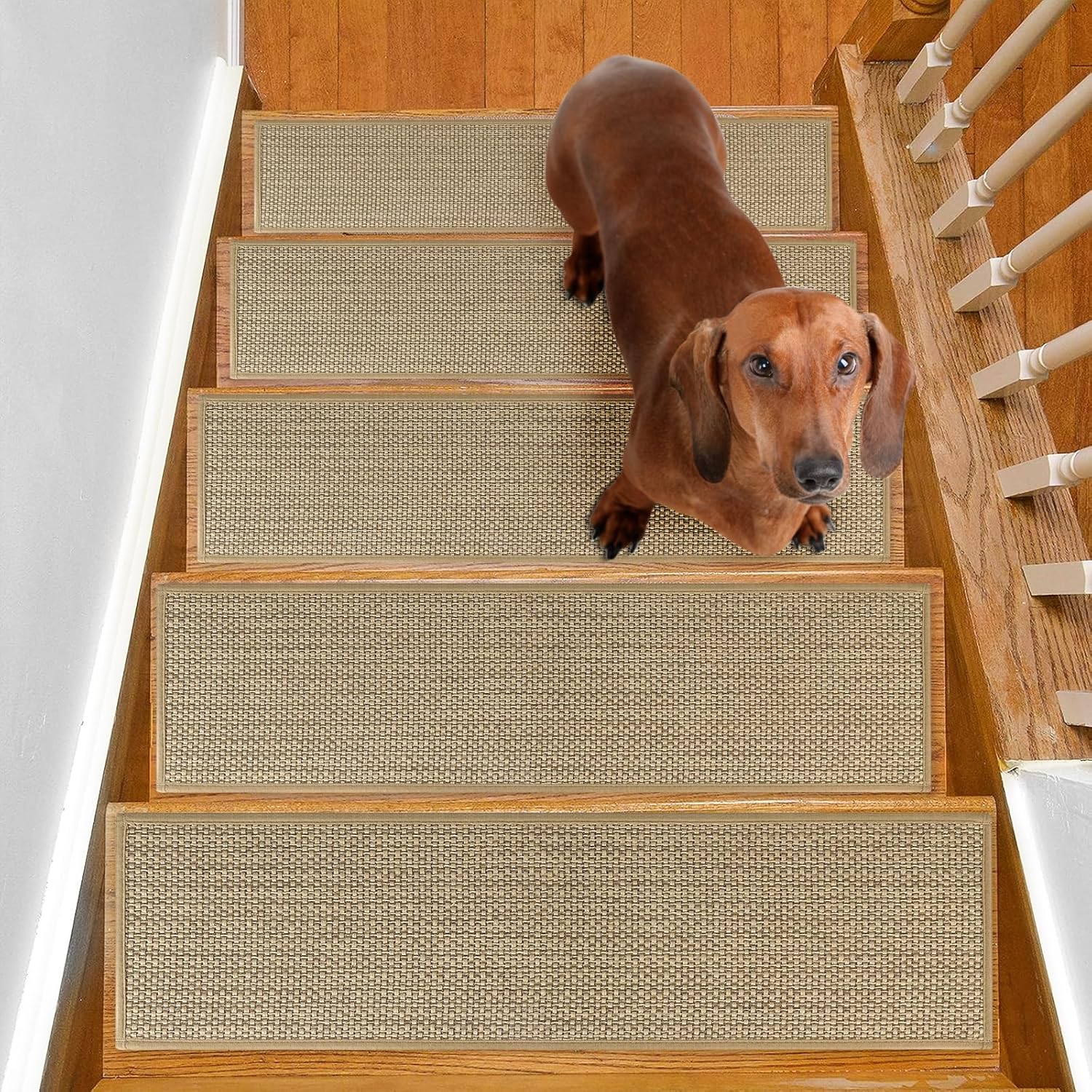 Stair Treads Non Slip for Wooden Steps Indoor 10" x 36" 15 Pack Extra Wide Stair Tread Carpet Stairs Runner, Step Pads with Reusable Adhesive for Dogs Kids Elders, Machine Washable, Beige - Image 6