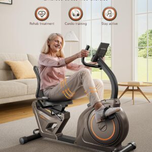 Niceday Recumbent Exercise Bike, Recumbent Bike for Home, Recumbent Stationary Bike 400LBS Weight Capacity, Magnetic Recumbent Bike with Smart APP, LCD Monitor, Heart Rate Handle