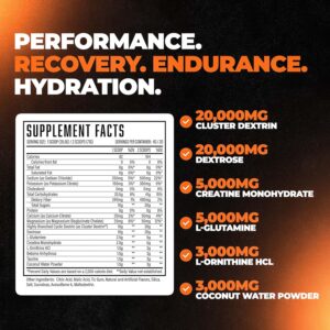 Formula XII Intra Workout Carbs & Post Workout Recovery Powder, Rapidly Absorbed Instant Energy, Boost Exercise Performance, Strength, Endurance & Hydration, 12 Science-Backed Ingredients (Peach)