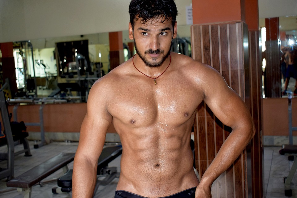 muscle building exercises