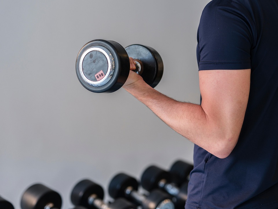 muscle building exercises