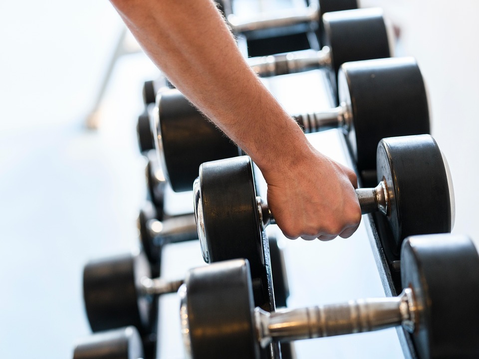muscle building exercises