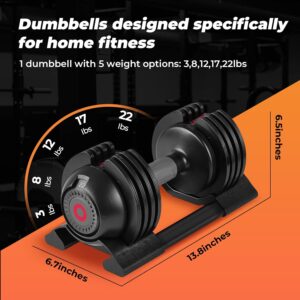 Adjustable Dumbbells Set: 5 Weight Options Dumbbell with Anti-Slip Metal Handle for Exercise & Fitness Fast Adjust Weight for Full Body Workout Fitness