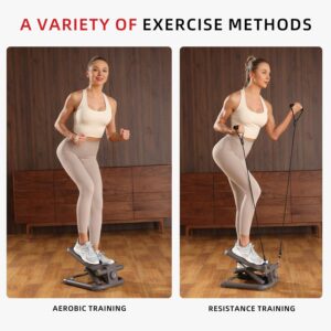 DHT Steppers for Exercise at Home, Mini Stair Stepper with Resistance Band, Workout Equipment with LCD Monitor, Fitness Stepper for Cardio Full Body Workout, for Home Gym(No Resistance Adjustment)