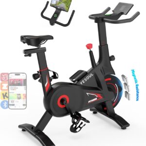 YESOUL Exercise Bike with Exclusive Smart App, Adjustable Magnetic Resistance & 300lbs Capacity, Indoor Stationary Cycling Bike with Stable Triangle Frame, Scenic Rides & Live Classes for Home Workouts