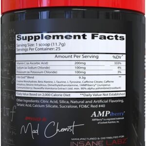 Insane Labz I am God Pre Workout, High Stim Pre Workout Powder Loaded with Creatine and DMAE Bitartrate Fueled by AMPiberry, Energy Focus Endurance Muscle Growth,25 Srvgs, Fruit Punch