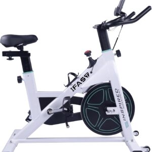 IFAST Stationary Bikes for Home Indoor Exercise Bike with LCD Monitor and Comfortable Seat Cushion for Home Gym Cardio Fitness Training