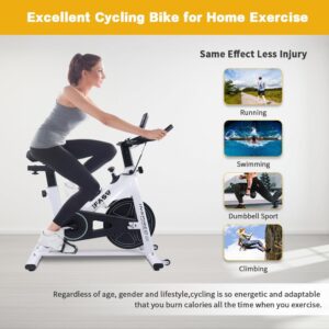 IFAST Stationary Bikes for Home Indoor Exercise Bike with LCD Monitor and Comfortable Seat Cushion for Home Gym Cardio Fitness Training
