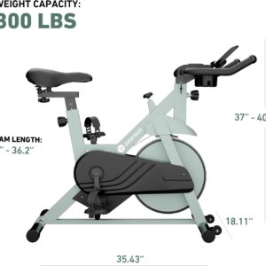 DeerRun Exercise Bike, Indoor Cycling Bike Brake Pad/Adjustable Magnetic Stationary Bike with App, Low Noise Workout Bike for Home Cardio 300lbs Weight Capacity with Pad Mount & LCD Monitor