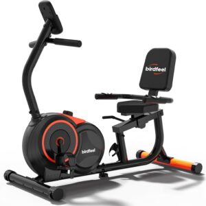 Recumbent Exercise Bike for Home,Recumbent Stationary Bikes for Adults & Seniors,Load Capacity of 400 pounds