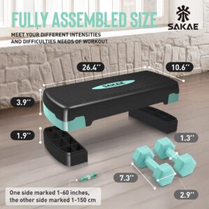 Adjustable Height Aerobic Stepper Set, Multiple Bundle Options with Dumbbells, Kettlebell, Waist Trimmer, Ankle Weights or Weighted Vest, Workout Exercise Step Platform w/Level Risers, 4 Colors