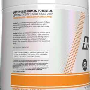 EHP Labs OxyShred Pre Workout Powder & Shredding Supplement – Preworkout Powder with L Glutamine & Acetyl L Carnitine, Energy Boost Drink – Wild Melon, 60 Servings