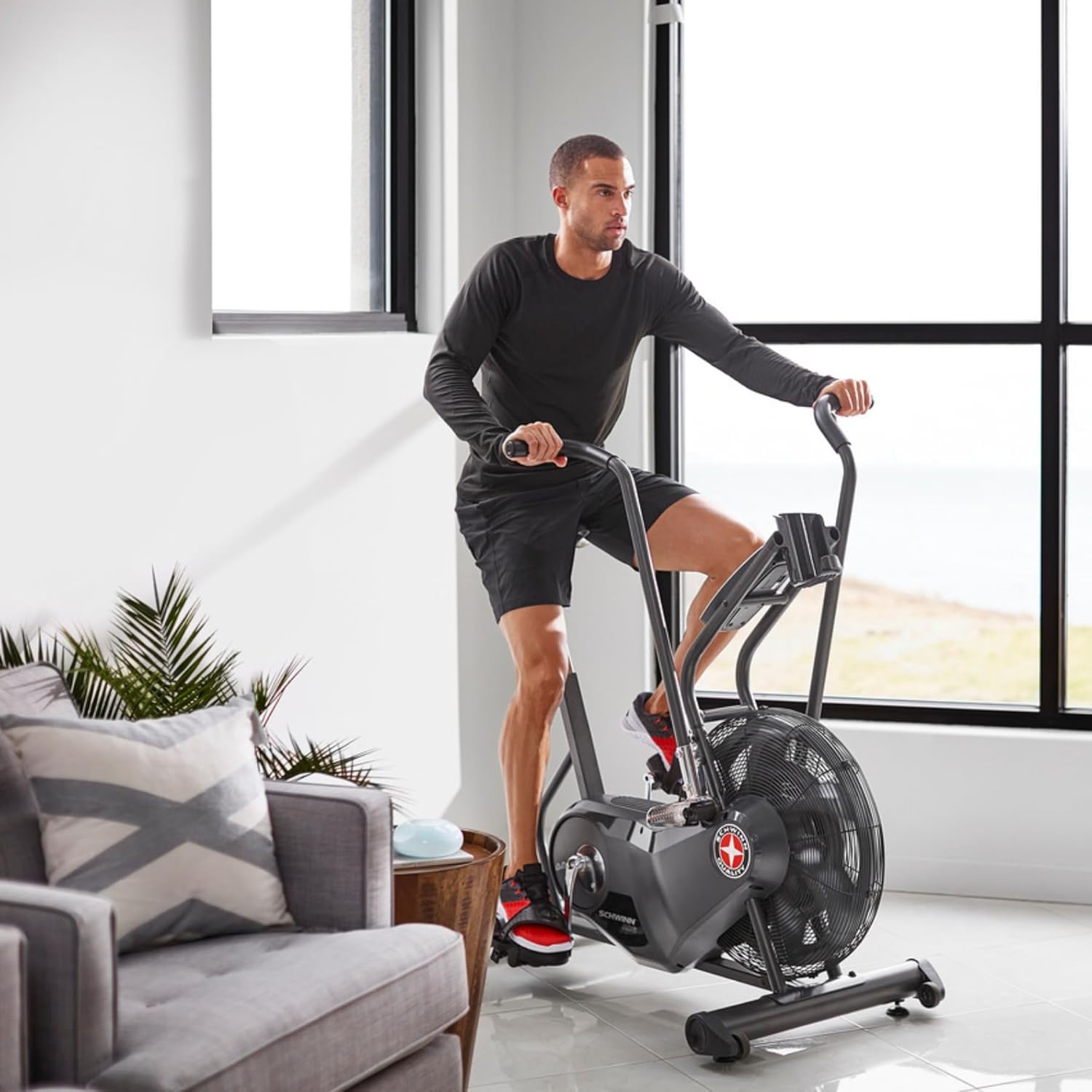 Schwinn Airdyne Bike Series - Image 7