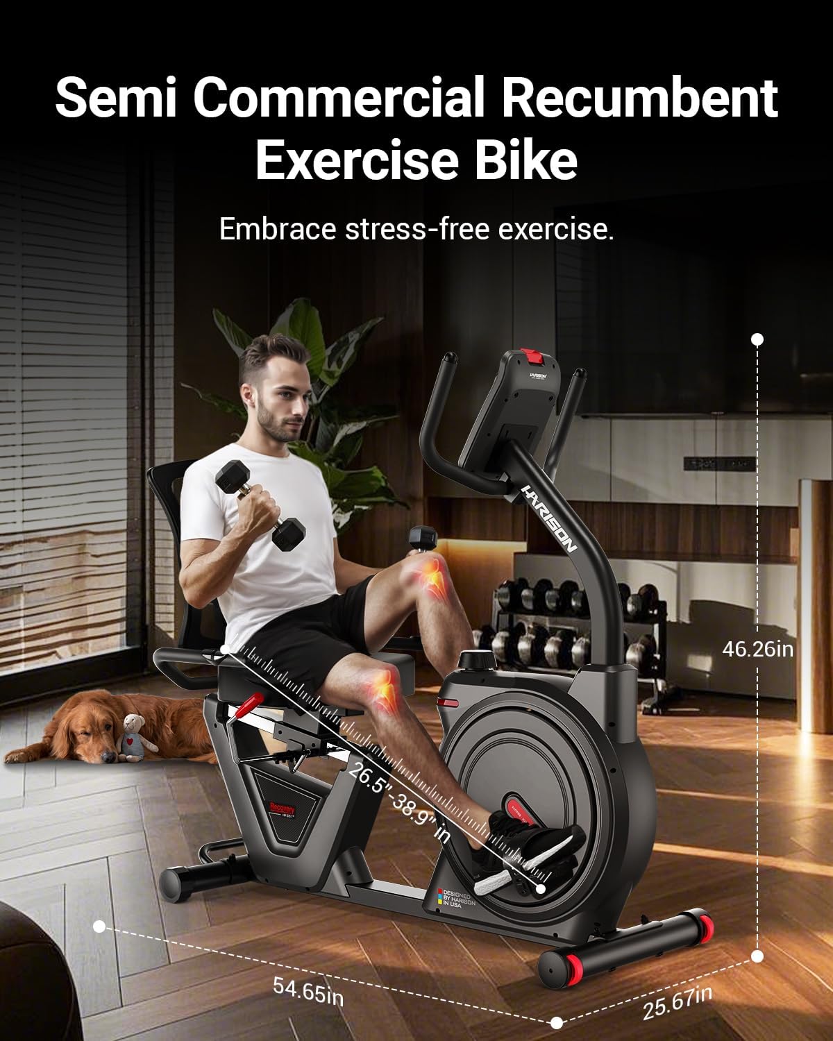 HARISON Semi Commercial Magnetic Recumbent Exercise Bike for Home with 450 lbs Capacity, Recumbent Bikes for Seniors & Adults with 2-in-1 LCD Monitor & Tablet Holder, HARISON APP - Image 6
