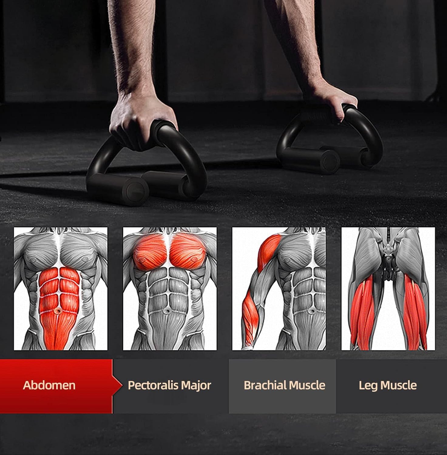 Push Up Bars, Push-up Handles, Set Of 2 Extra Thick Non Slip Foam Grip, Unique Sturdy Structure Push Up Stands, Perfect Strength Training Home Gym Push Up Handles For Floor - Image 4
