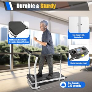 Walking Treadmill with Full Length Handrails & Heart Rate Sensor, LCD Display Screen Elderly Treadmill, Recovery Fitness Exercise Machine Foldable for Home use with Holder, 300 lbs Capacity