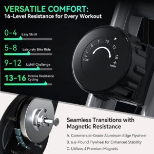 Folding Exercise Bike for Seniors, 5 IN 1 Foldable Stationary Bike with Tri-Position Ride, 300LBS Capacity and 6.6 LBS Magnetic Flywheel, Designed for Home Workout