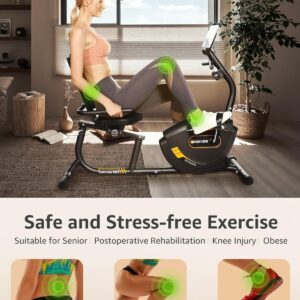 JEEKEE Recumbent Exercise Bike for Seniors,Stationary Bikes for Home, 300LB Capacity & 16 Levels Magnetic Resistance, Heart Rate Handle