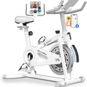 Exercise Bikes for Home,Indoor Cycling Bike with Adjustable Friction,Brake Pad Resistance Silent Belt Drive,330lbs Weight Capacity &Upgraded Version Seat for Home Cardio&Weight Loss