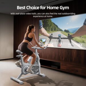 HARISON Semi-Commercial Exercise Bike 400 lbs Capacity, Magnetic Stationary Bikes for Home Gym with Bluetooth & Tablet Holder & Comfortable Seat Cushion